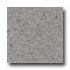 Santa Regina Architectural 24 X 24 (polished) Buff Terrazzo Tile