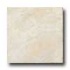 Ragno Princeps 13 X 13 Augusto Bg Tile & Stone