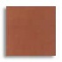 Daltile Natural Hues 4 X 8 Tuscany Tile  and  Stone