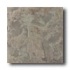 American Olean Earthscapes 6 X 6 Rain Forest Tile