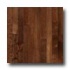 Robbins Urban Exotics Collection Strip Birch 2 1/4 Umber Hardwoo