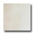 Casa Dolce Casa Neutra 4 X 24 Silver Tile & Stone