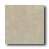 New World Texas 13 X 13 White Tile & Stone