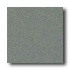 Crossville Cross-colors A 12 X 12 Ups Greenbriar Tile & Stone