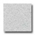 Santa Regina Architectural 16 X 16 (polished) Salt