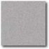 Daltile Porcealto (textured) 8 X 8 Labradorite Tile & Stone