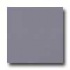 Marazzi Le Cromie Polished 12 X 12 Fluorite Tile & Stone