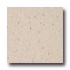 Armstrong Excelon Companion Square Premium Multi Ecru Vinyl Floo