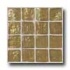 Daltile Egyptian Glass Mosaics 2 X 2 Iridescent Sahara Tile & St