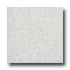 Santa Regina Designer 24 X 24 (natural) Blanco Terrazzo Tile