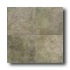 American Olean Porte Leona 13 X 13 Verde Tile & Stone