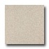 Armstrong Medintech Homogeneous Campanula Buff Vinyl Flooring