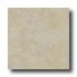 Eliane Athena 16 X 16 Marfil Tile & Stone