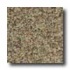 Milliken Tesserae Spectrum Earth Carpet Tiles
