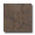 Daltile Timber Glen 12 X 24 Espresso Tile & Stone