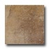 Cerdomus Denver Stone 13 X 13 Tan Tile & Stone