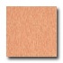 Armstrong Excelon Imperial Texture Cantaloupe Vinyl Flooring