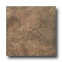 Tesoro Salus 20 X 20 Rieti Noce Tile & Stone