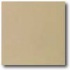 Daltile Quarry Tile Abrasive 4 X 8 Beige Tile & Stone