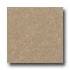 Santa Regina Architectural 24 X 24 (polished) Desert Tan Terrazz