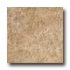 Rex Magistra Asper Bush-hammered 6 X 6 Nucis Tile & Stone