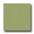 Mannington Solid Point Sour Apple Vinyl Flooring