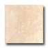 Portobello Series 8 X 10 White Tile & Stone