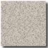 Armstrong Safeguard Slip-retardant Granite Vinyl Flooring