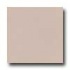 Marazzi Le Cromie Polished 12 X 12 Rodonite Tile & Stone