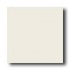 American Olean Terra Paver Polished 12 X 12 Cameo Tile & Stone