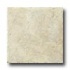 American Florim Navajo 12 X 12 Spirit Tile & Stone