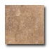 American Olean Cortesia 10 X 20 Noce Tile & Stone