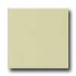 Daltile Semi-gloss 4 1/4 X 4 1/4 Misty Meadow Tile