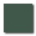 Crossville Cross-colors B 12 X 12 Polished Forest Green Tile & S