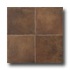 Esquire Tile Chateau Lyon 12 X 12 Marrone Tile  and  S