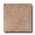 Esquire Tile Urbino 18 X 18 Noce Tile  and  Stone