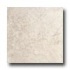 American Olean Cortesia 13 X 13 Bianco Tile & Stone