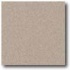 Daltile Porcealto (polished) 12 X 12 Grigio Granite (graniti) Ti