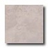 Tesoro Tropical 18 X 18 Cream Tile & Stone