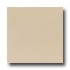 Daltile Kimona Silk 12 X 24 Rice Paper Tile & Stone