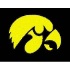 Strike Off Company, Inc Iowa University Iowa Entry Mat Entry Mat