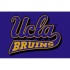 Strike Off Company, Inc Ucla University Ucla Entry Mat 2 X 3 Are
