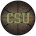 Strike Off Company, Inc Colorado State University Colorado State
