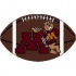 Strike Off Company, Inc Minnesota University Minnesota Football