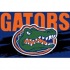 Strike Off Company, Inc Florida University Florida Entry Mat 2 X