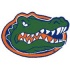 Strike Off Company, Inc Florida University Florida Round Rug 24&