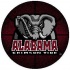 Strike Off Company, Inc Alabama University Alabama Basketball 24