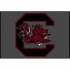 Strike Off Company, Inc South Carolina University South Carolina