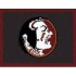 Strike Off Company, Inc Florida State University Florida State E