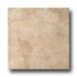 Monocibec Ceramica Graal 20 X 20 Sinclair Tile  and  S